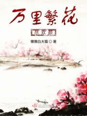 万里繁花尽欢颜