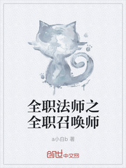 全职法师之全职召唤师